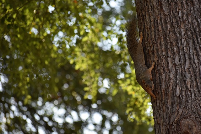策略与勇气 策略与勇气