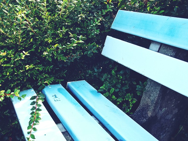 国际舞台上 国际舞台上