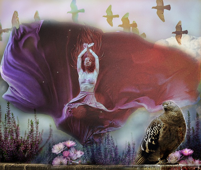 我们指的是 我们指的是